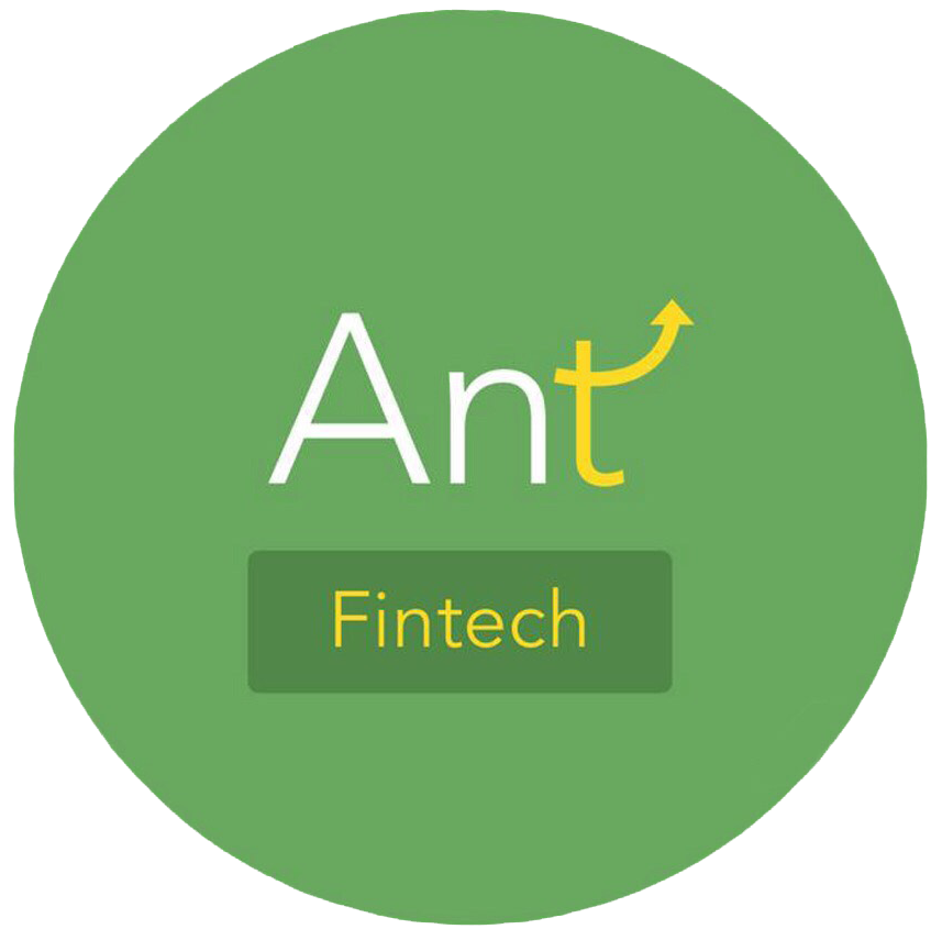 Ant Fintech (OPC) Private Limited